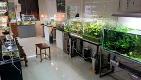 STILL WATER AQUATICS