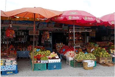 Chak Ta Wan Sun Seed